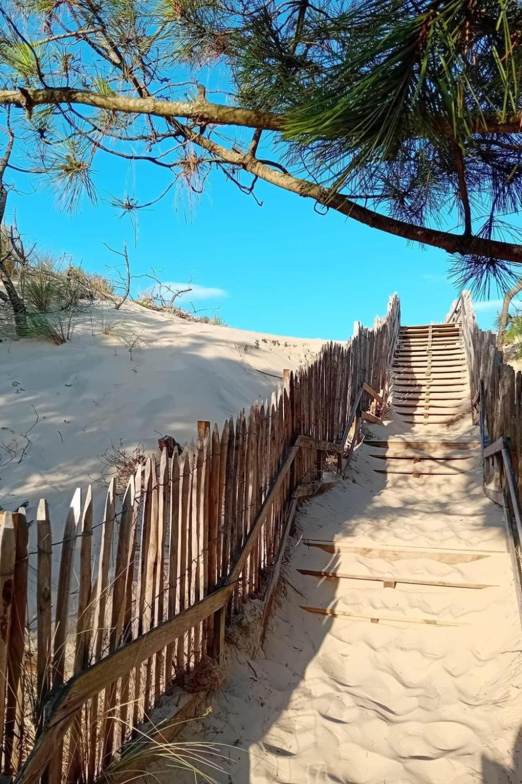 Horizon-2 By Interhome Apartment Mimizan-Plage